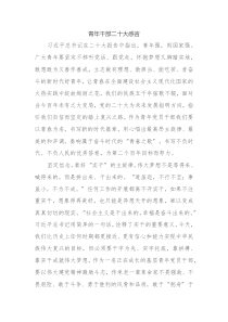 青年干部二十大感言