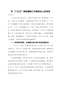 市十五五规划编制工作座谈会上的讲话(参考)