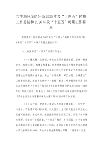 市生态环境局分局2025年及“十四五”时期工作总结和2026年及“十五五”时期工作要点(参考)
