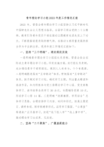 青年理论学习小组20XX年度工作情况汇报