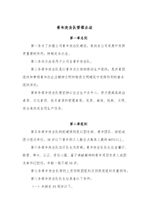 青年突击队管理办法