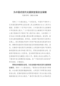 为中国式现代化提供坚强安全保障