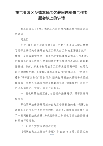 在工业园区乡镇农民工欠薪问题处置工作专题会议上的讲话