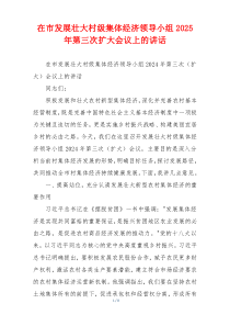 在市发展壮大村级集体经济领导小组2025年第三次扩大会议上的讲话