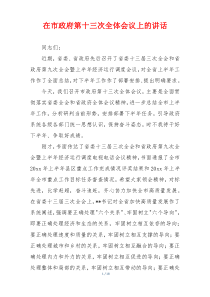 在市政府第十三次全体会议上的讲话