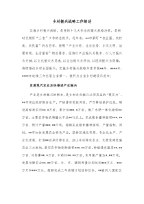 乡村振兴战略工作综述