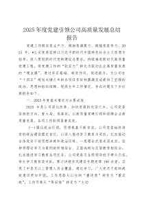 2025年度党建引领公司高质量发展总结报告(资料)