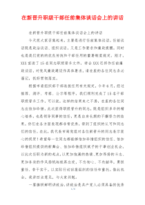 在新晋升职级干部任前集体谈话会上的讲话