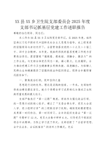 XX县XX乡卫生院支部委员会2025年度支部书记抓基层党建工作述职报告(资料)