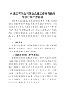 XX集团有限公司国企党建工作规范提升专项行动工作总结(资料)