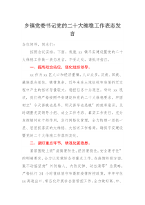 乡镇党委书记党的二十大维稳工作表态发言 (53)