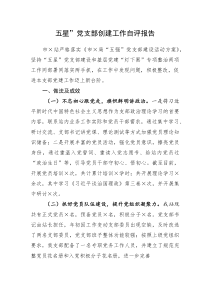 五星”党支部创建工作自评报告(资料)