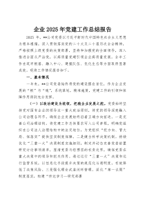 企业2025年党建工作总结报告(资料)