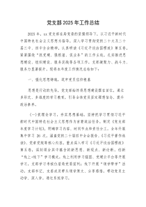 党支部2025年工作总结（党建总结4100字）(资料)