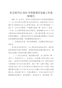 党支部书记2025年度抓基层党建工作述职报告(资料)