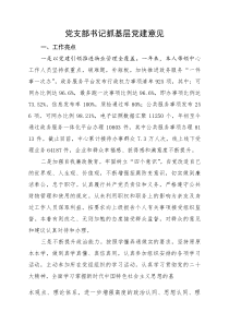 党支部书记基层党建自评意见(资料)