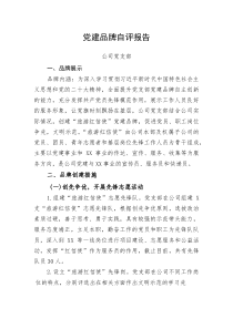 党支部党建品牌自评报告(资料)
