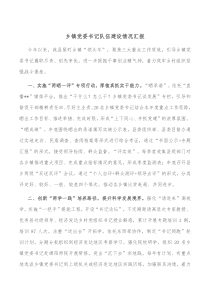 乡镇党委书记队伍建设情况汇报