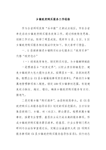 乡镇政府购买服务工作经验