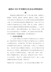 副局长2025年专题民主生活会对照检查材料(资料)