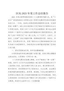 区局2025年度工作总结报告(资料)