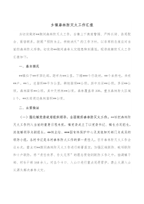 乡镇森林防灭火工作汇报