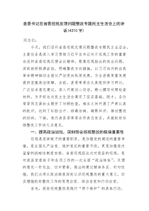 县委书记在省委巡视反馈问题整改专题民主生活会上的讲话(资料)