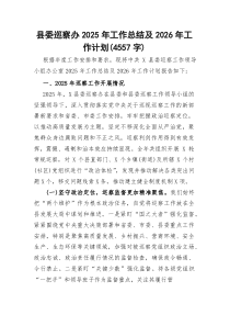 县委巡察办2025年工作总结及2026年工作计划(资料)