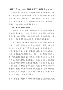 县民政局2025年度社会组织换届工作情况报告(资料)