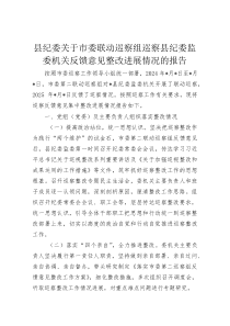 县纪委关于市委联动巡察组巡察县纪委监委机关反馈意见整改进展情况的报告(资料)