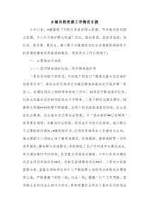 乡镇自然资源工作情况汇报