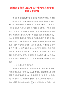 市国资委党委2025年民主生活会典型案例剖析分析材料