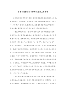 乡镇长在新任职干部培训座谈上的发言