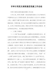 市审计局党支部抓基层党建工作总结