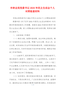 市林业局党委书记2025年民主生活会个人对照检查材料