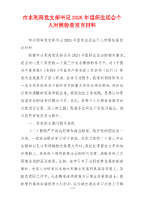 市水利局党支部书记2025年组织生活会个人对照检查发言材料