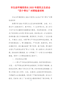 市生态环境局局长2025年度民主生活会“四个带头”对照检查材料