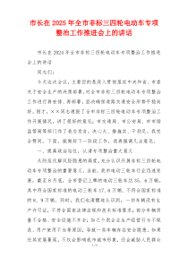 市长在2025年全市非标三四轮电动车专项整治工作推进会上的讲话