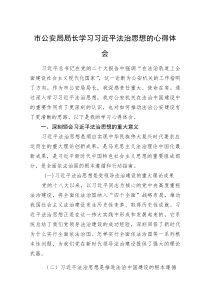 市公安局局长学习习近平法治思想的心得体会(资料)