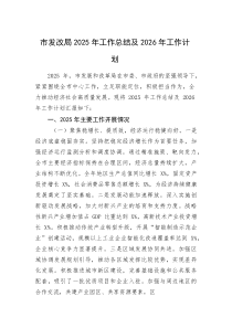 市发改局2025年工作总结及2026年工作计划(资料)