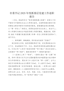 市委书记2025年度抓基层党建工作述职报告(资料)