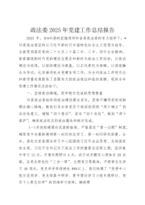 政法委2025年党建工作总结报告(资料)