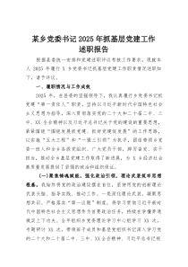 某乡党委书记2025年抓基层党建工作述职报告(资料)