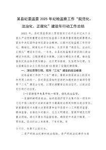 某县纪委监委2025年纪检监察工作“规范化、法治化、正规化”建设年行动工作总结(资料)