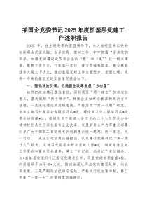 某国企党委书记2025年度抓基层党建工作述职报告(资料)
