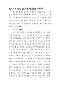 某局2025年度安全生产工作总结报告(资料)