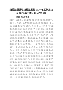 纪委监委派驻纪检监察组2025年工作总结及2026年工作计划(资料)