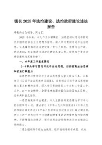 镇长2025年法治建设、法治政府建设述法报告(资料)
