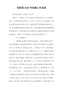 民政局2025年党建工作总结