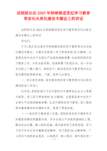 法院院长在2025年持续推进党纪学习教育常态化长效化建设专题会上的讲话